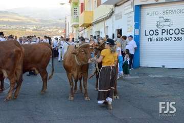 Alegre y participativa romería en El Ejido (Foto FJ Santana y TF)